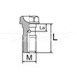 Fékcső, banjo csavar M10x1 21mm Brembo, AJP féknyereghez